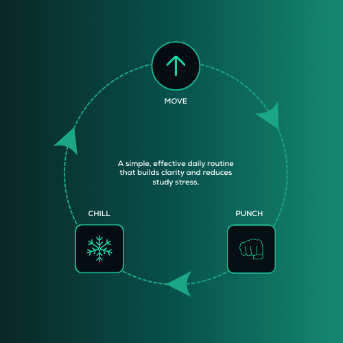 DeepSchool Daily Routine